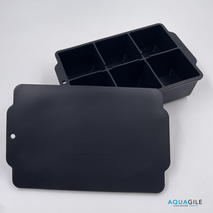 Ice mold
